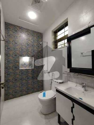 B-17 8 Marla Ground Portion Available For Rent Gas Water Electricity All Available