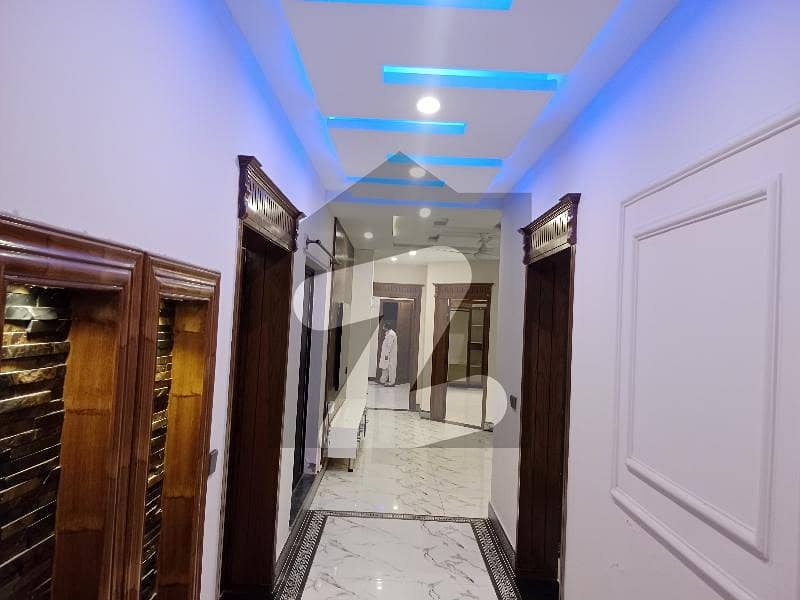 Full House For Rent Adorable Price