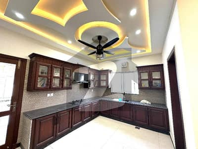 beautiful 60ft surfacing brand new house