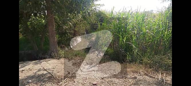 4 Acer Land Available for sale on Chichawatni Road Link 417/EB Road Burewala