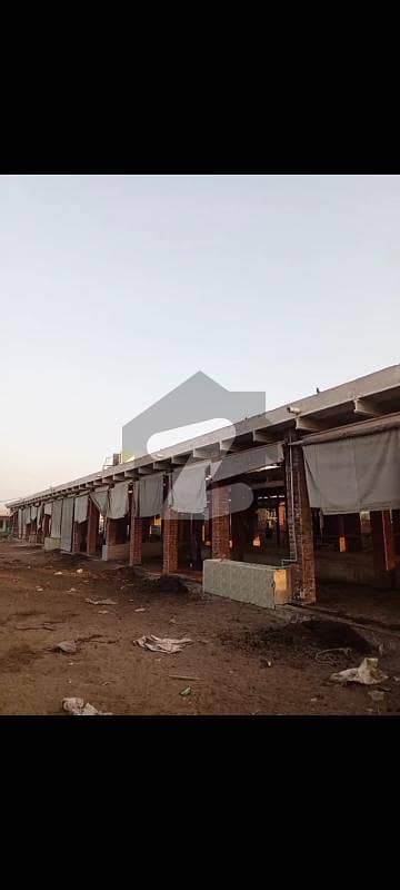 Multan Farm House For Rent Dunya Pur Road