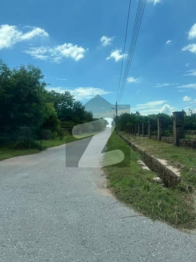 Sector - C 5 Kanal Plot Available For Sale