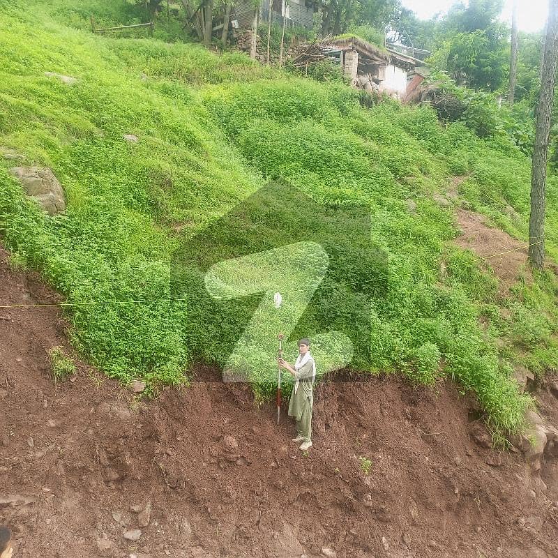 03 کنال پلاٹ فار سیل مری ایکسپریس بھی 03 کنال پلاٹ فار سیل مری ایکسپریس بھی