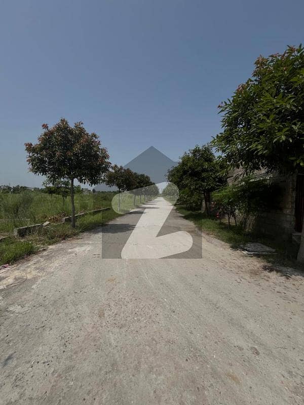 Residential Plot for Sale Zamar Valley Islamabad Residential Plot for Sale Zamar Valley Islamabad