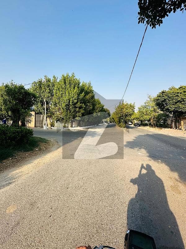 1000 Yards Bungalow Available for Sale 1000 Yards Bungalow Available for Sale