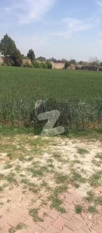 آرچرڈ سکیم اسلام آباد میں 32 کنال پلاٹ فارم 14.5 ارب میں برائے فروخت۔