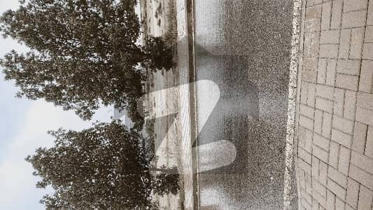 hansa society hansa society