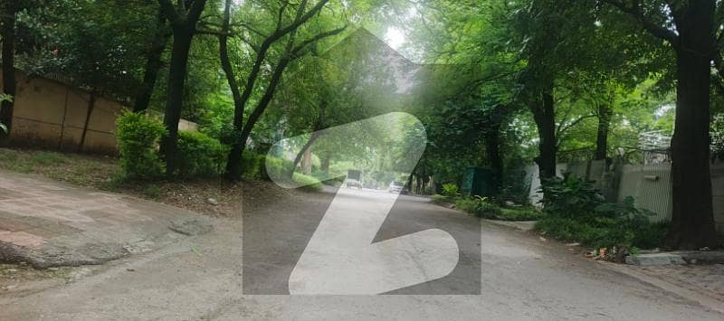 Block A 5 Kanal Plot For Sale Beautiful Location