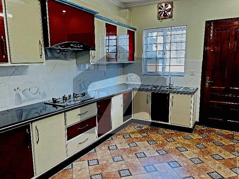 40x80 14 Marla Ground portion for Rent G-13