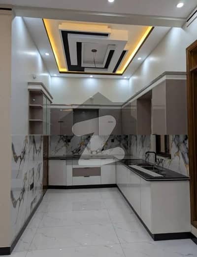 Independent 240 Sq. Yd. Ground+1 House For Rent At Pilibhit Society Sector 18A Near By Al Masood Super Market