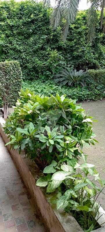 CORNER HOUSE AVAILABLE AT THE PRICE OF A PLOT