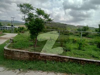 85 Acre Agricultural Land Lodhran Road Adda Soi Wala 50 Lac Per Acre