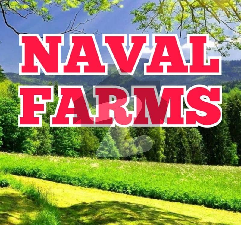 Naval Farms C Block level Plot 5 kanals Naval Farms C Block level Plot 5 kanals