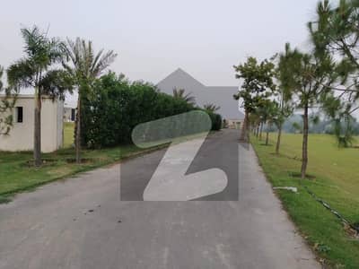 16 Kanal Farmhouse Plot for Sale | Bedian Road Lahore | Near Karbath