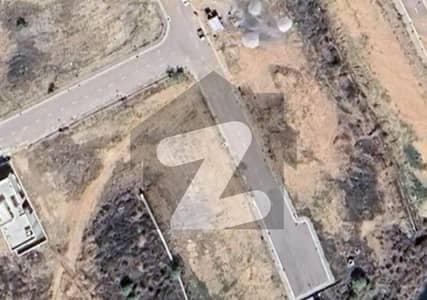 عمارکینیان