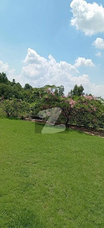 Simly Dam Road Moza Tamoor Open Land 620 Kanal Best For