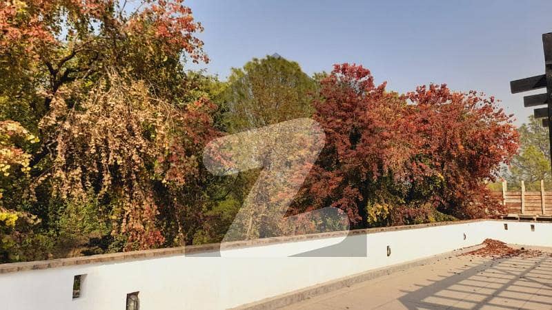 Specious House for Rent in E-7