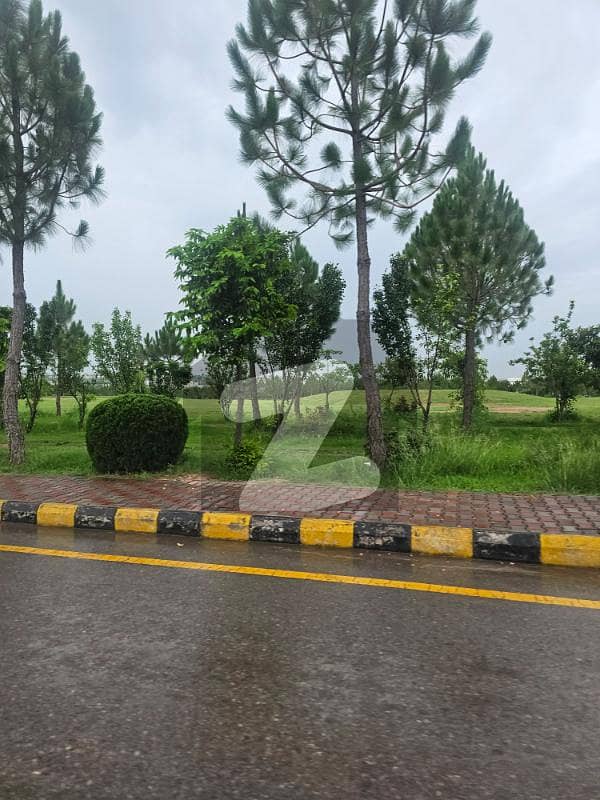 Plot In Gulberg Residencia Block T