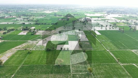 لاہور ۔ شیخوپورہ ۔ فیصل آباد روڈ فیصل آباد میں 624 کنال زرعی زمین 62.4 کروڑ میں برائے فروخت۔