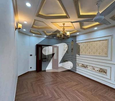 Spacious 5400 Square Feet Lower Portion Available For Rent In D-12