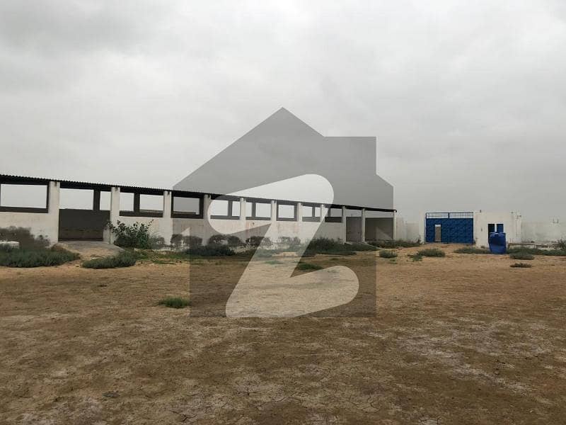 Areesha Cattle Farm Near Nagoori