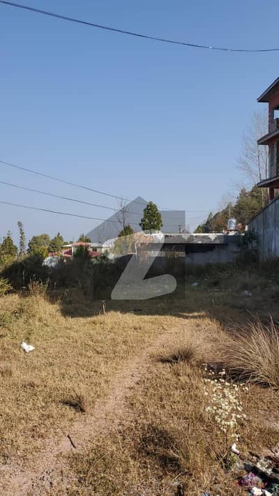 Ideal Plot In Patriata