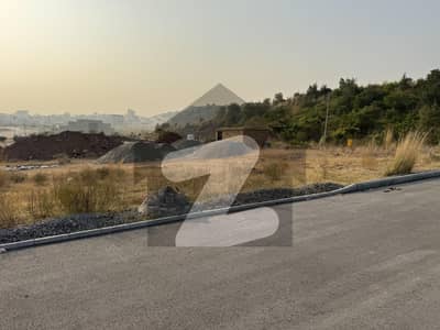 Fully Heighted With Lash Green View Solid Plot, Back Open