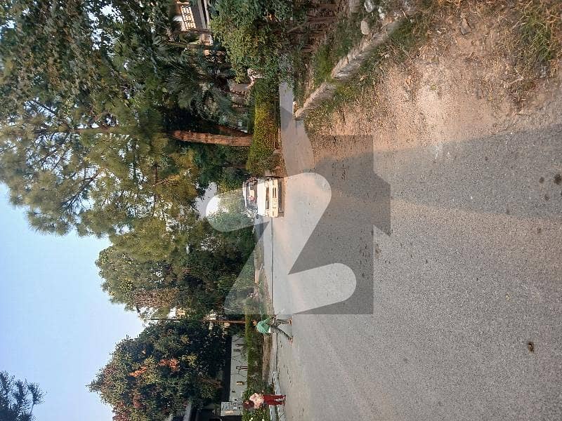 جی ۔ 9/1 جی ۔ 9,اسلام آباد میں 5 کمروں کا 14 مرلہ مکان 10.0 کروڑ میں برائے فروخت۔