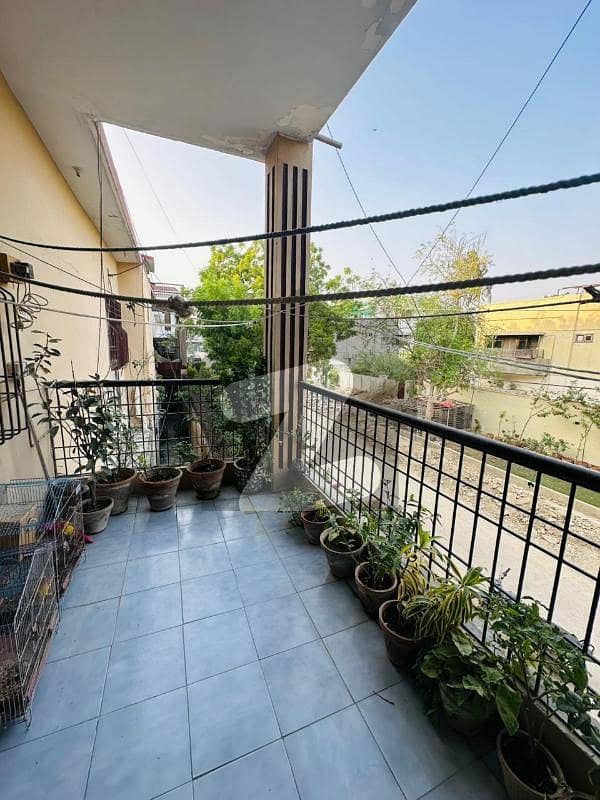 house for rent house for rent