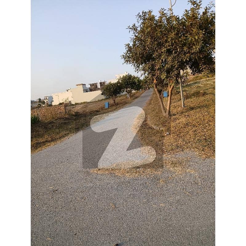 University Town Block E St 11