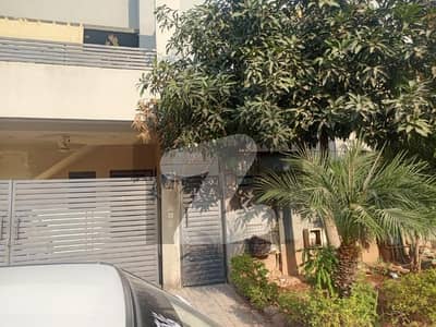 1590 Square Feet Lower Portion For rent In D-17