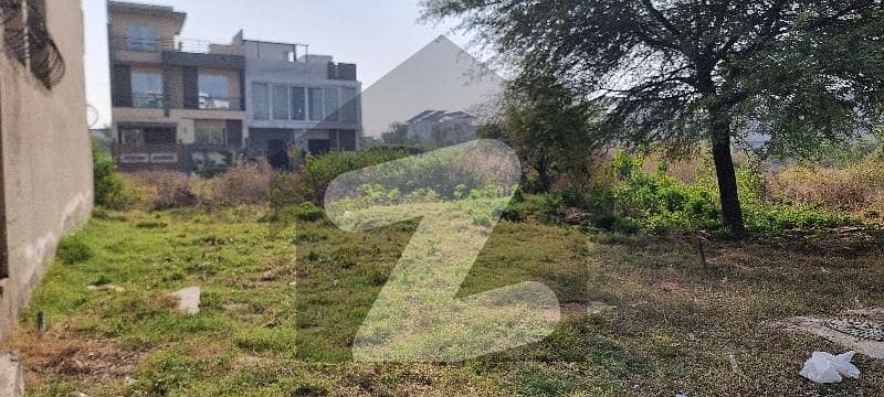 Beautiful Plot Available For Sale In D-12 Beautiful Plot Available For Sale In D-12