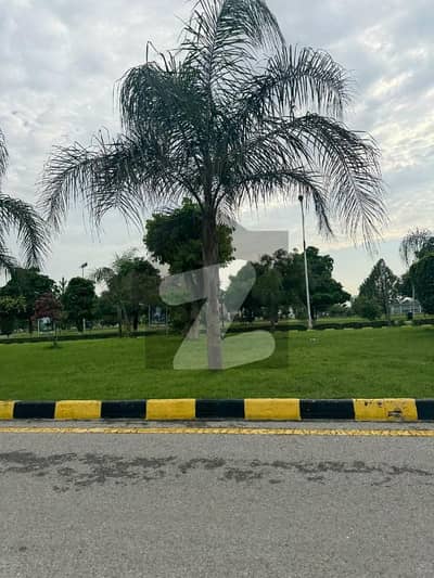 D Block 1 Kanal Plot For Sale Main Dabble Road