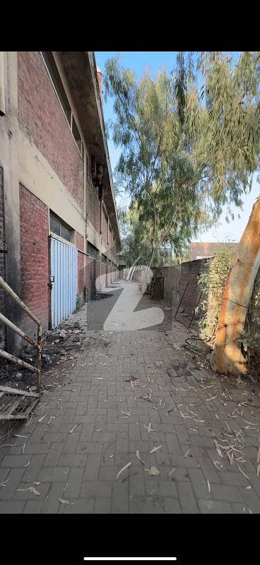 پائن ایونیو لاہور میں 8 کنال فیکٹری 12.5 ارب میں برائے فروخت۔