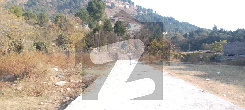 Near International Medical College Near International Medical College