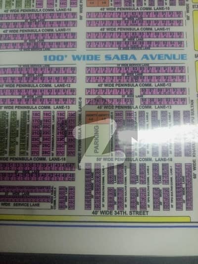 پینینزولیا