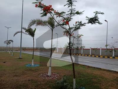 ہاکس بے - بلاک 26 سی ہاکس بے اسکیم 42,کراچی میں 5 مرلہ رہائشی پلاٹ 3.0 لاکھ میں برائے فروخت۔