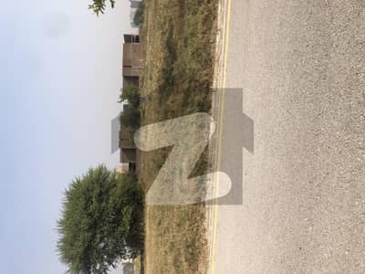 A Block Main Street Solid And Near To Park And Masjid Plot