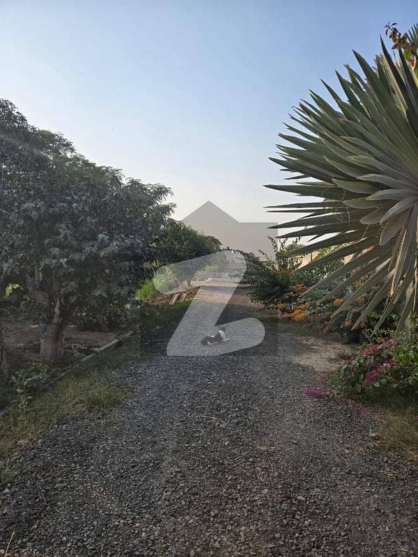 Residential plots - Various sizes - Urgent sale Residential plots - Various sizes - Urgent sale