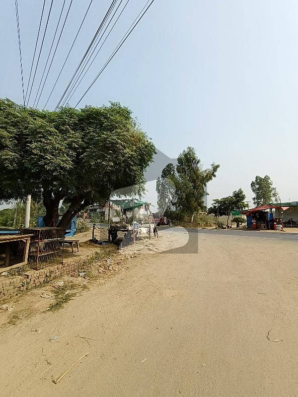 Farmhouse For Sale In Main Sue Asal Road Farmhouse For Sale In Main Sue Asal Road