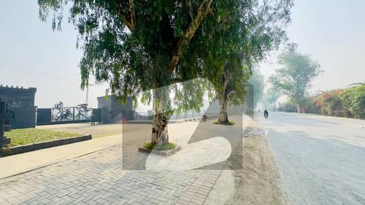 بیدیاں روڈ لاہور میں 4 کنال فارم ہاؤس 2.25 کروڑ میں برائے فروخت۔