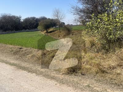 بنگو روڈ فتح جھنگ میں 6 کنال زرعی زمین 1.45 کروڑ میں برائے فروخت۔