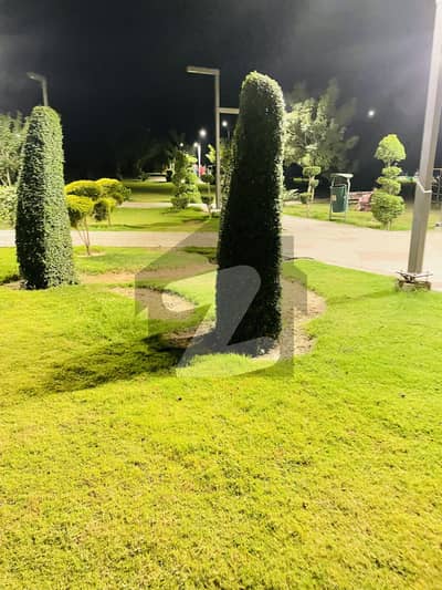 Farmhouse plot for sale