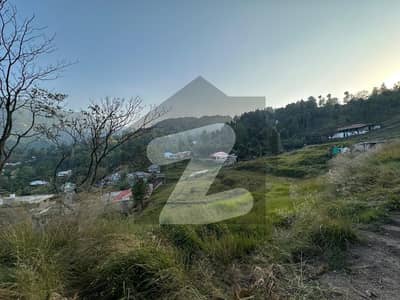 پتریاٹہ نیو مری,مری میں 8 کنال کمرشل پلاٹ 16.0 کروڑ میں برائے فروخت۔