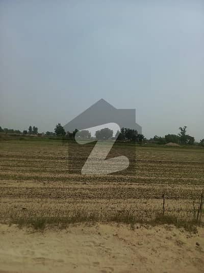 فیروزپور روڈ لاہور میں 1 کنال زرعی زمین 40.0 لاکھ میں برائے فروخت۔