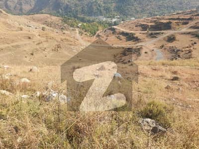 10 Marla Plot For Sale