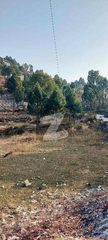 Residential Plot Available For sale In Tarhana