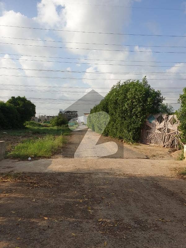 SAADI GARDEN SAADI GARDEN