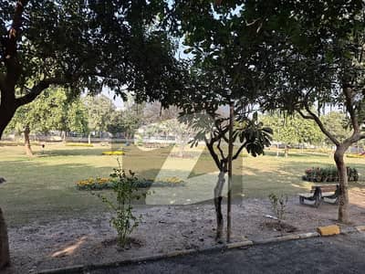 One Kanal residential plot 40'Road next to corner almost facing Park very reasonable price