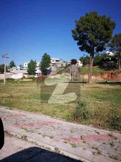 Data Hemlet Housing Society Plot